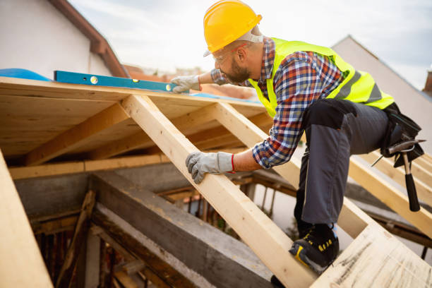 Best Roof Gutter Cleaning  in Sunset, FL